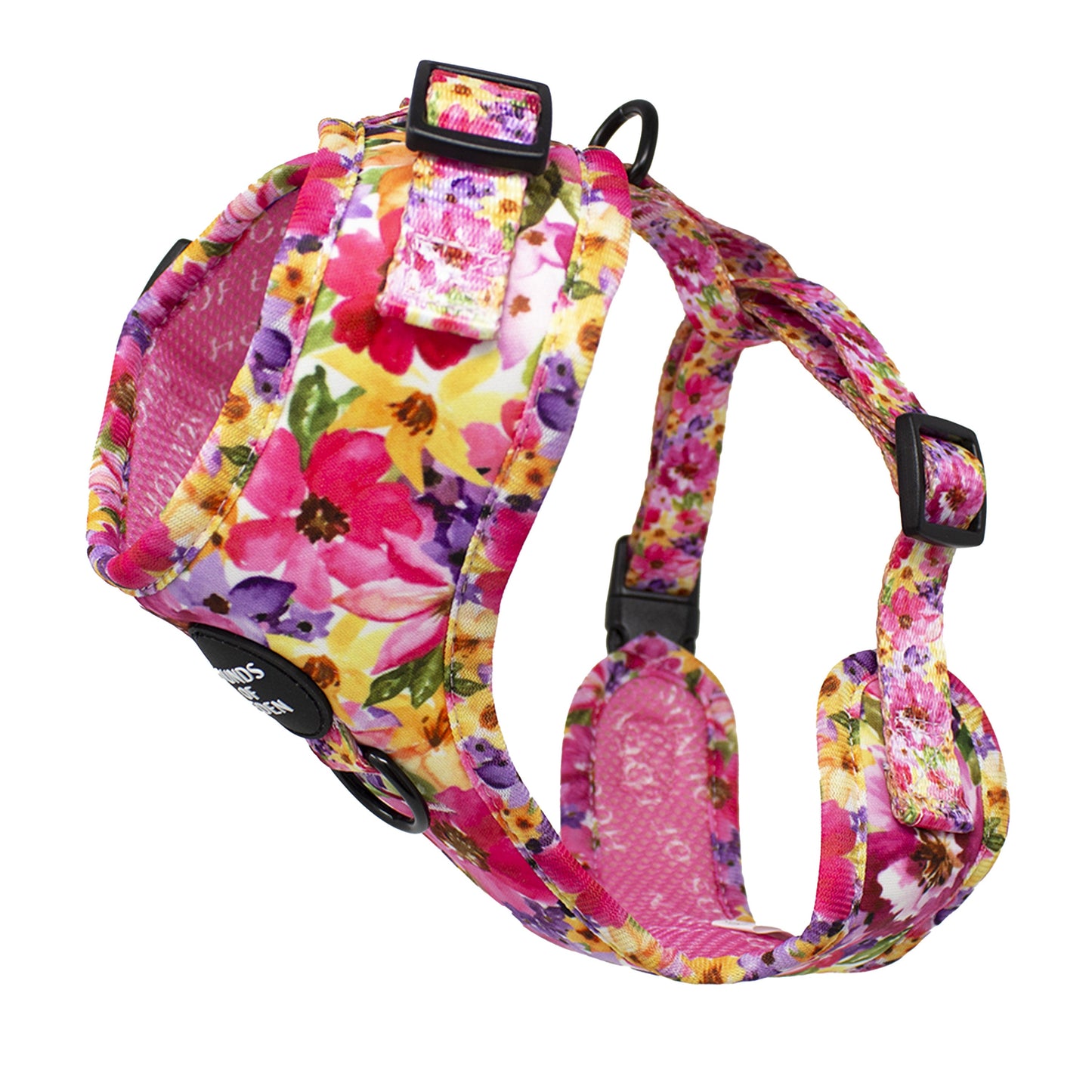 Florentina Dog Harness, Collar & Lead