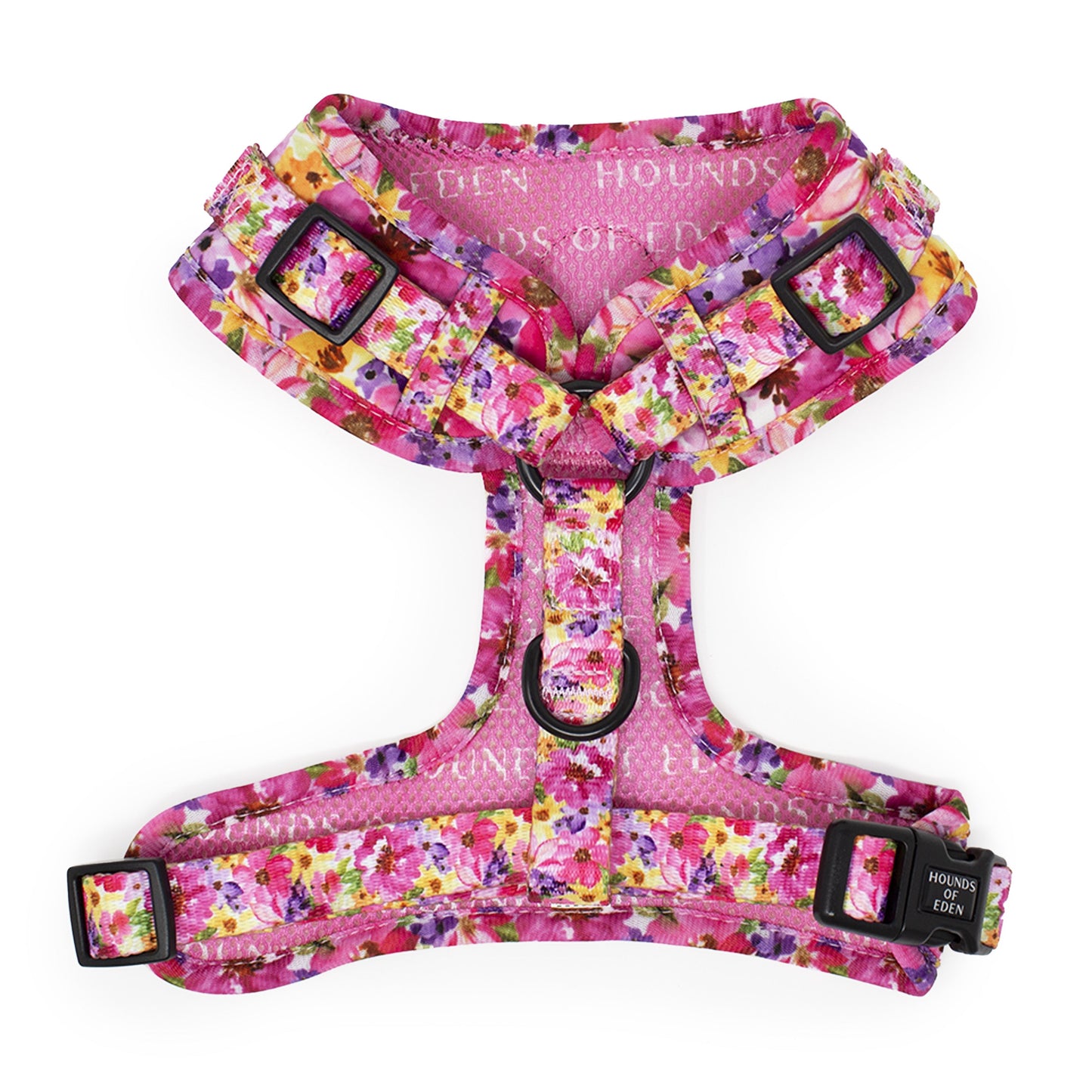 Florentina Dog Harness, Collar & Lead