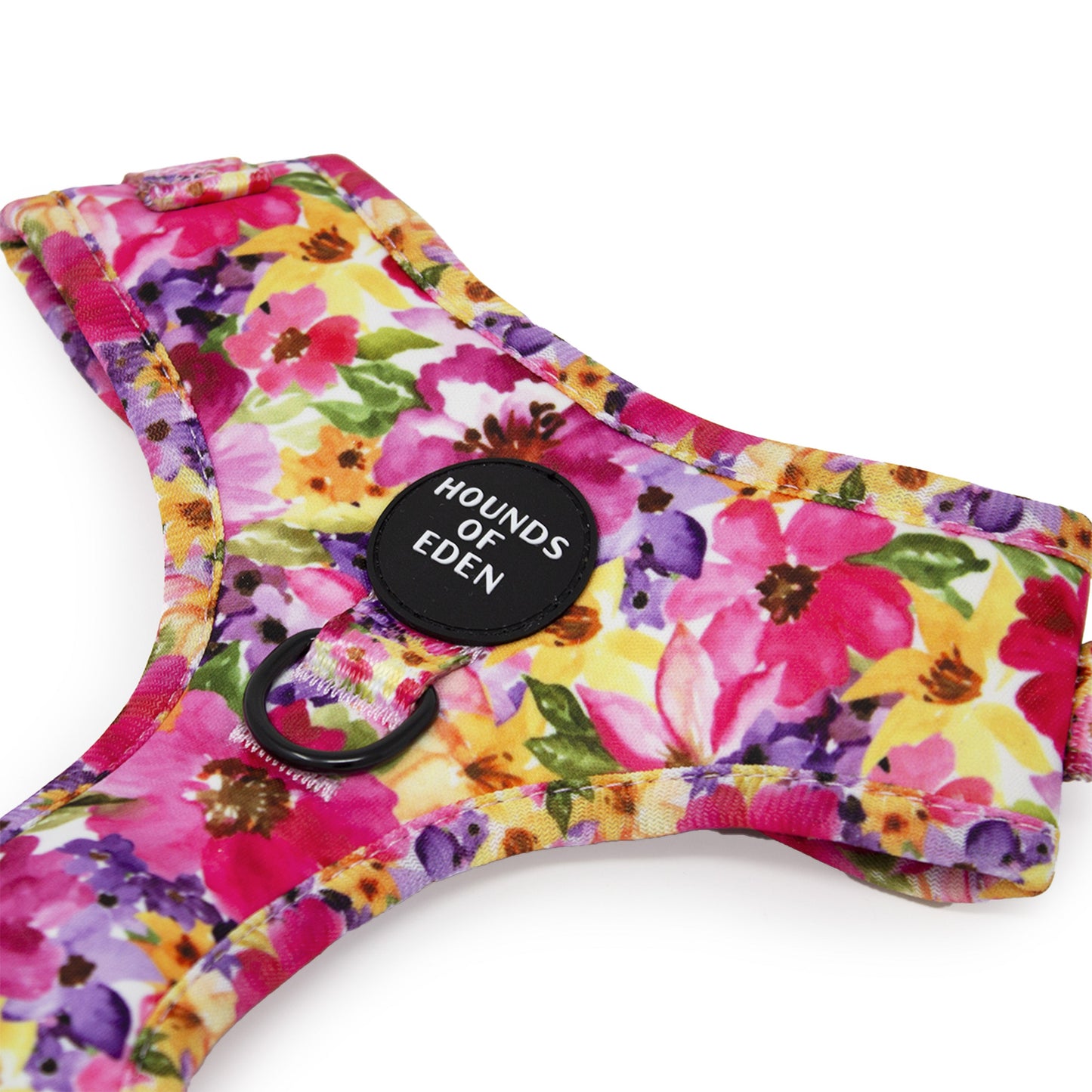 Florentina Dog Harness, Collar & Lead