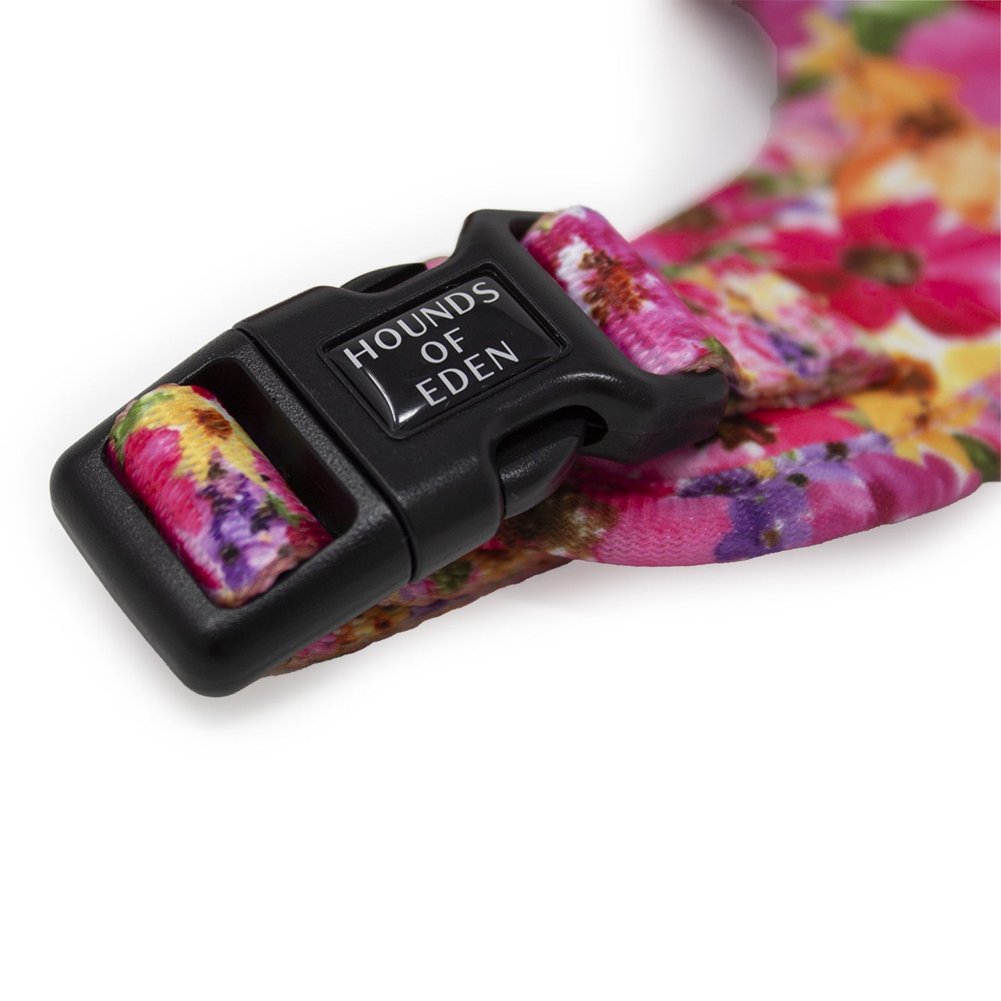 Florentina Dog Harness, Collar & Lead