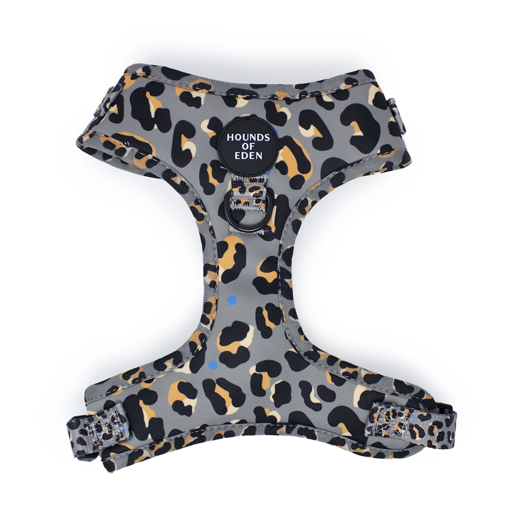 Steel Leopard Khaki/Grey Dog Harness, Collar & Lead