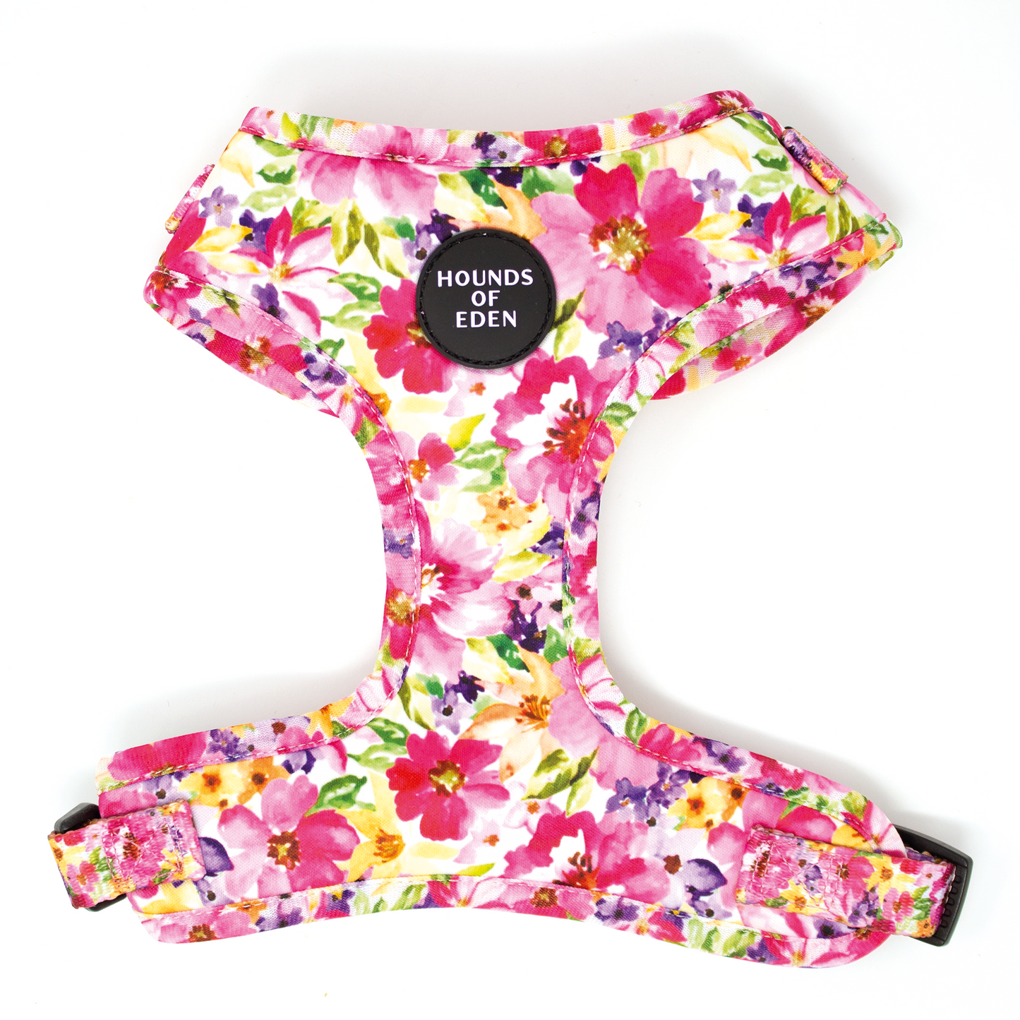 Florentina Dog Harness, Collar & Lead