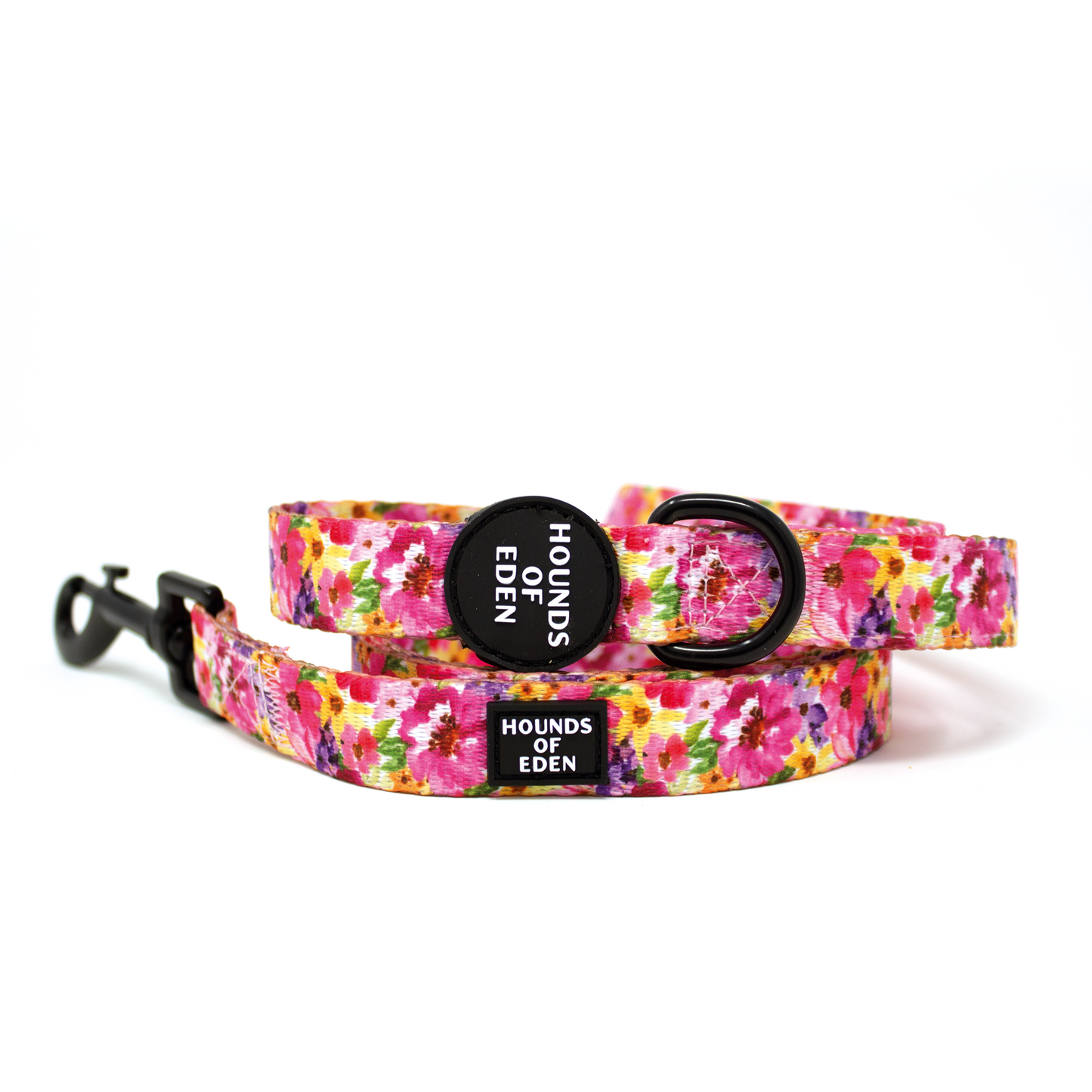 Florentina Dog Harness, Collar & Lead