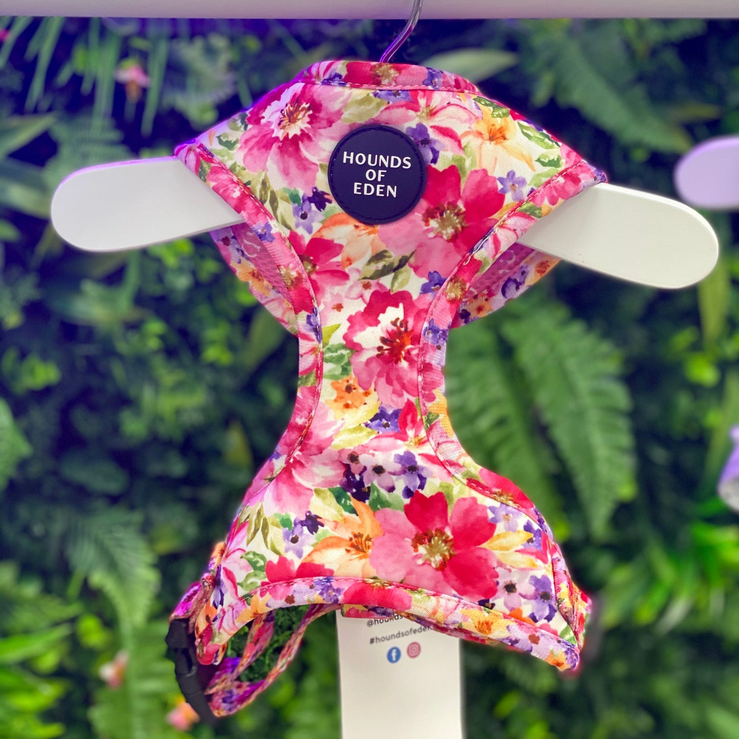 Florentina Dog Harness, Collar & Lead