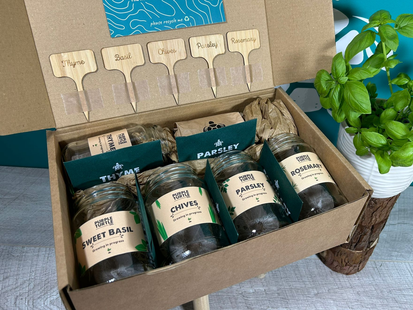 Grow Your Own Herbs Gift Set