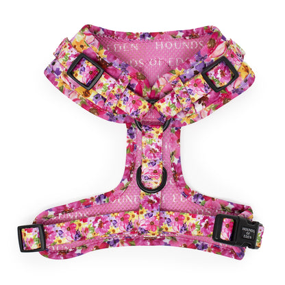 Florentina Dog Harness, Collar & Lead
