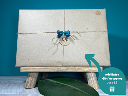 Plant Propagation Gift Set #2