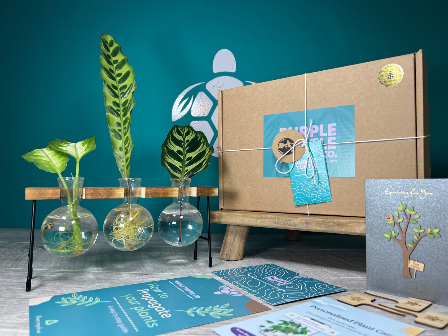 Plant Propagation Gift Set #3