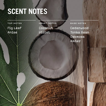 Opulence Scented Candle, Refill & Reed Diffuser – view 3