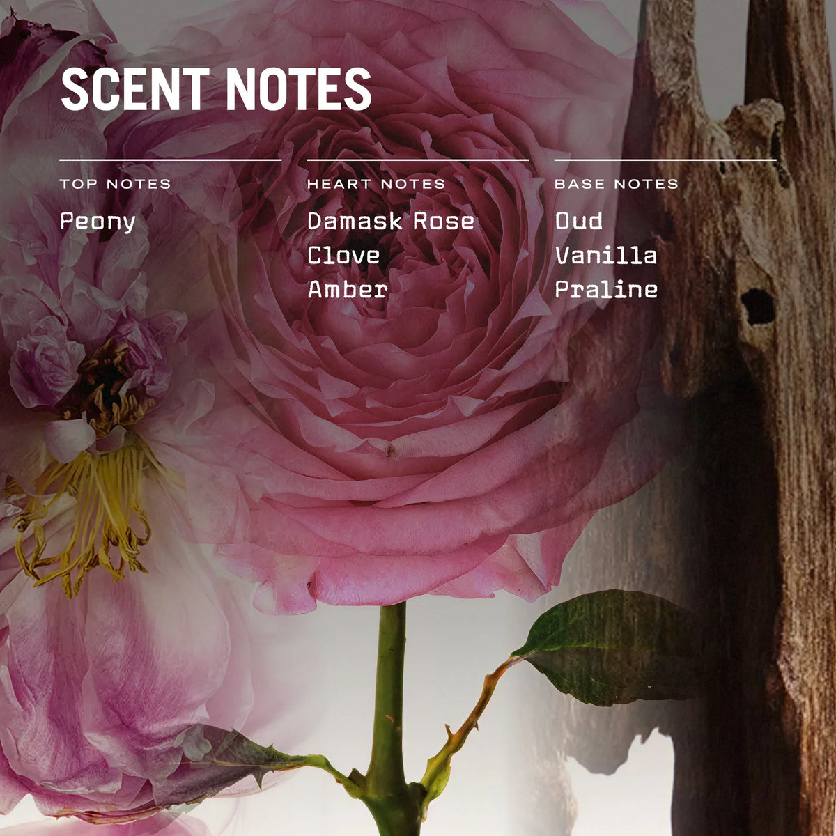 Oud Fortune Scented Candle, Refill & Reed Diffuser – view 3