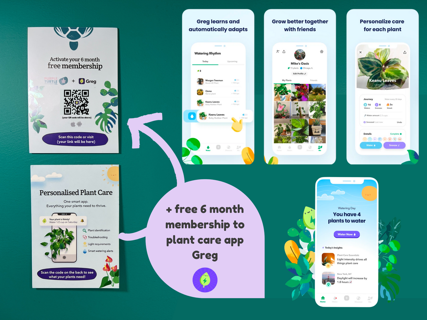 Plant Propagation Gift Set #2