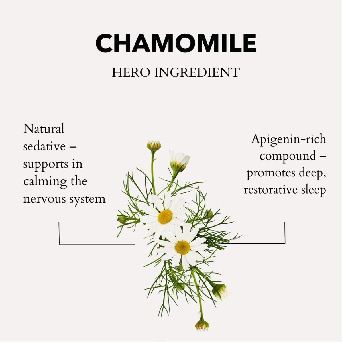 Restless Mind Sleep Oil | Roman Chamomile