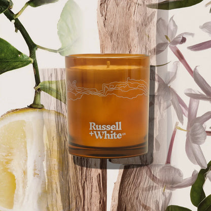 Sugi Scented Candle & Refill