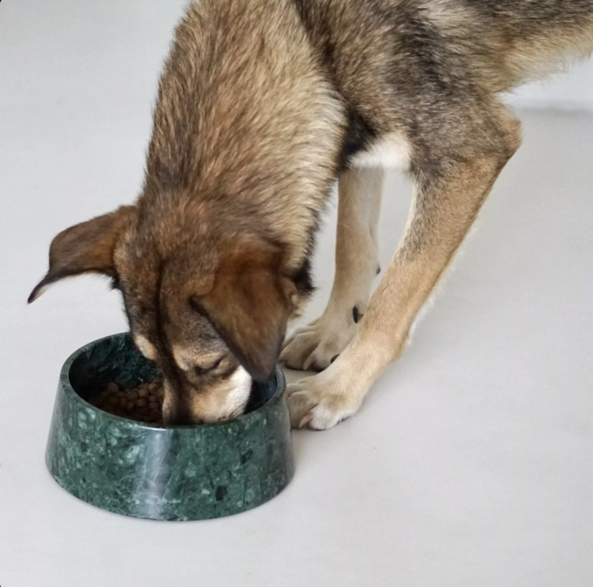 Dark Green Marble Dog Bowl – view 2