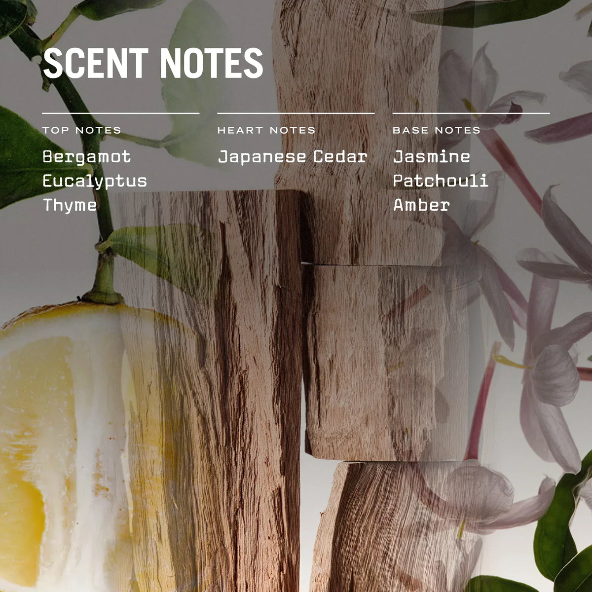 Sugi Scented Candle, Refill & Reed Diffuser – view 3