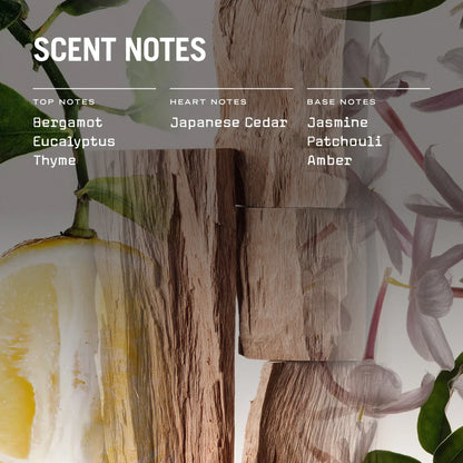 Sugi Scented Candle & Refill