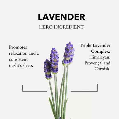 The Little Gift of Good Sleep - Lavender