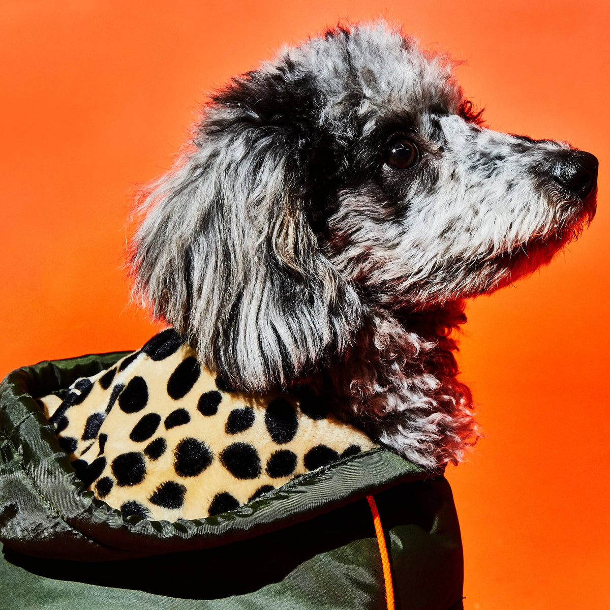 Olive & Animal Print Trim Puffer Jacket – view 2