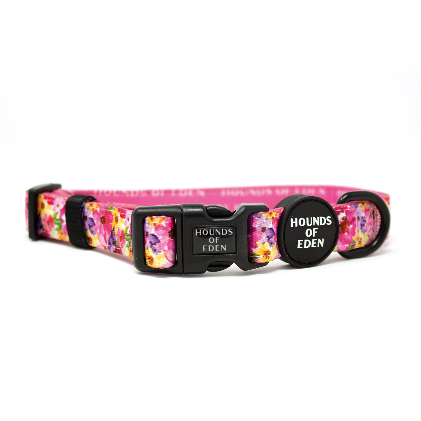 Florentina Dog Harness, Collar & Lead