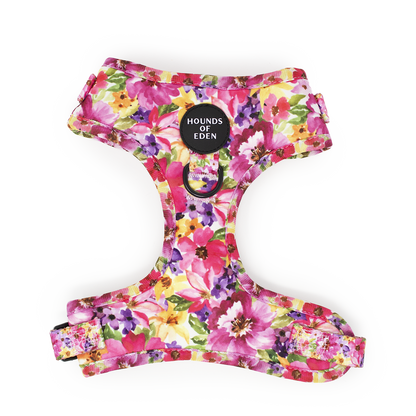Florentina Dog Harness, Collar & Lead