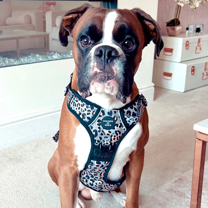 Supaw Strong™ Steel Leopard Khaki/Grey Dog Harness, Collar & Lead