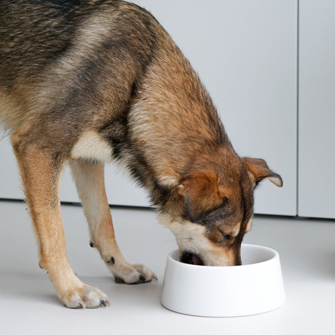 White Crystal Marble Dog Bowl – view 2