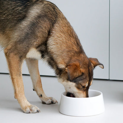 White Crystal Marble Dog Bowl – view 2