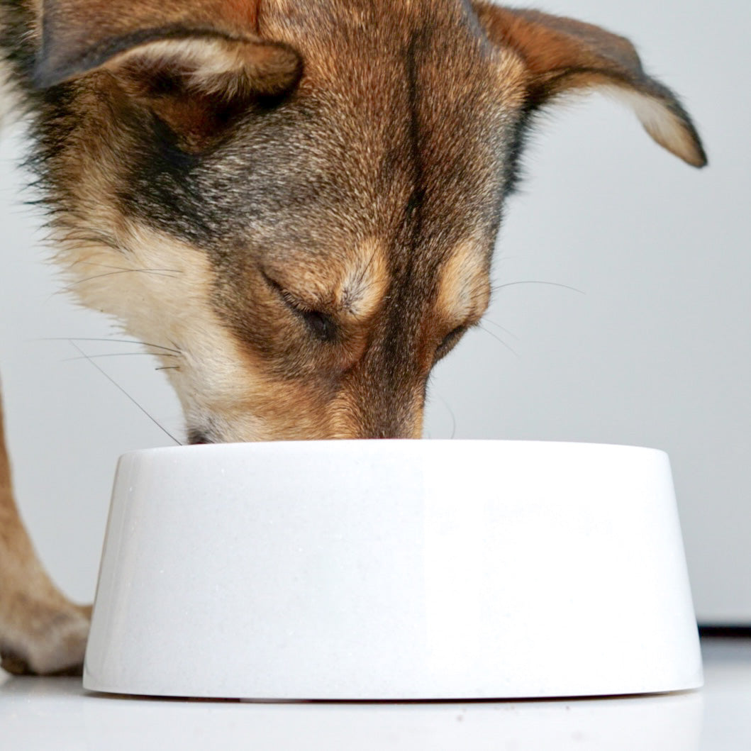 White Crystal Marble Dog Bowl – view 5